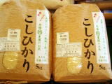 �L�@�엿�P�O�O���͔|�̂����Ђ���TKg��