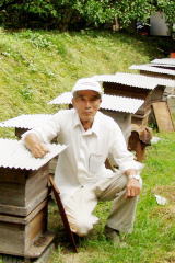 �~�c�o�`�̑����̘e�̉���i�͂ɂイ�Ђ���j