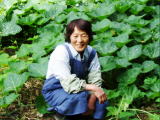 �J�{�`�����̒��̉���i��������悵���j