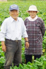 �i�o�i���̒��̉���i���ނ炵�����j�v�w